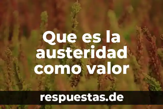 Que es un valor del filosofía 7 Que es la austeridad como valor