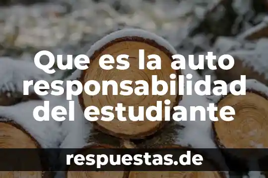 Que es ser estudiante en que consiste 5 Que es la auto responsabilidad del estudiante