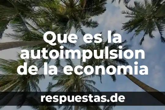 Qué es la economía agrícola concepto 4 Que es la autoimpulsion de la economia