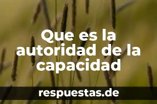 Qué es ralacines de autoridad 4 Que es la autoridad de la capacidad