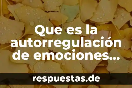 Que es la autorregulación de emociones en preescolar segun autores
