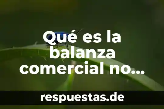 Qué es la balanza comercial no petrolera