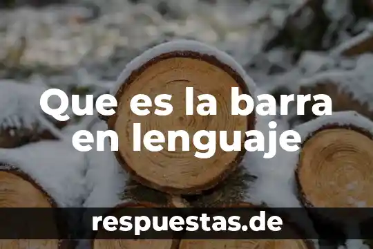 Qué es una doble barra de campos 6 Que es la barra en lenguaje