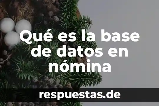Qué es la teoría de datos 6 Qué es la base de datos en nómina