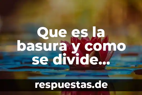 Que es ser terca yahoo 3 Que es la basura y como se divide yahoo