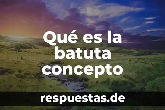 Qué es la muestra de heces concepto 3 Qué es la batuta concepto