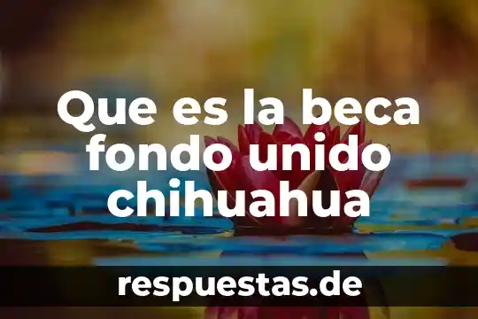 Parte del animal que es el new york 4 Que es la beca fondo unido chihuahua