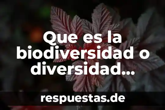 Que es un principio Yahoo 5 Que es la biodiversidad o diversidad biologica yahoo