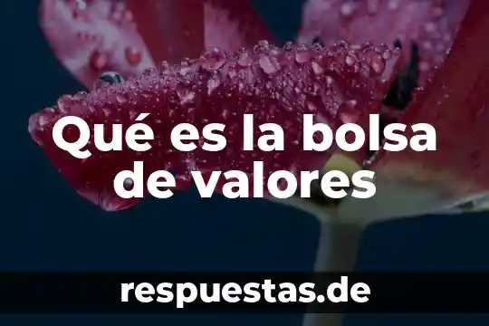 Qué es invertir en la bolsa de valores 8 Qué es la bolsa de valores