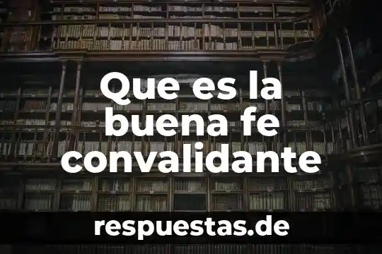 Que es la buena gobernanza 3 Que es la buena fe convalidante
