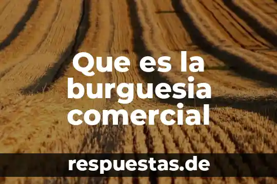 Qué es burguesía historia 4 Que es la burguesia comercial