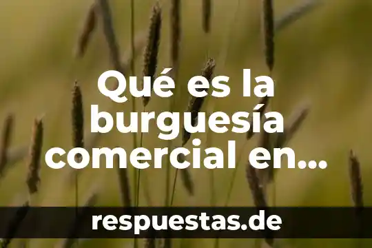 Qué es burguesía historia 7 Qué es la burguesía comercial en Venezuela
