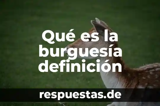 Qué es burguesía historia 5 Qué es la burguesía definición
