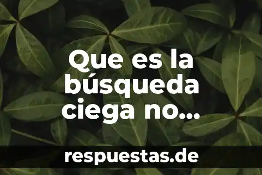 Que es la búsqueda ciega no informada