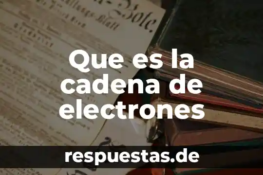 Que es trazabilidad guia nacional de cadena de custodia 5 Que es la cadena de electrones