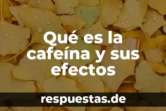 Que es un periodico para efectos legales 5 Qué es la cafeína y sus efectos