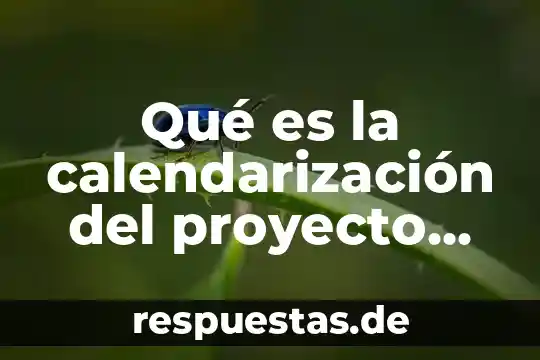 Que es la cultura emprendedora redalyc 4 Qué es la calendarización del proyecto redalyc