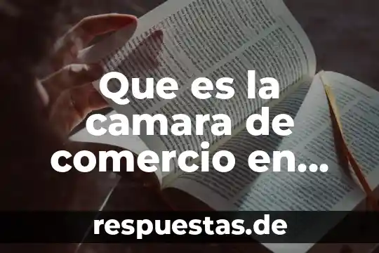 Que es la camara de comercio en pequeño de irap