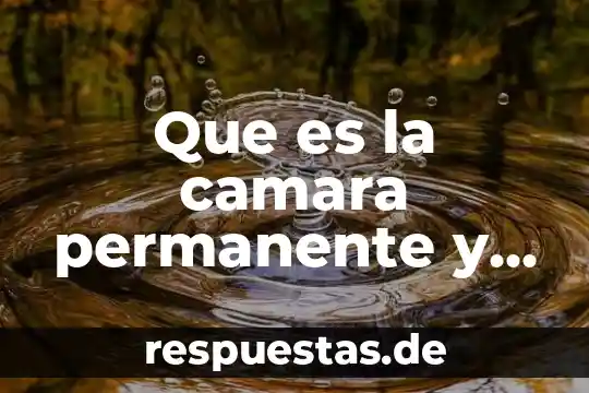 Que es la litosfera y como esta integrada 6 Que es la camara permanente y como esta integrada mexico