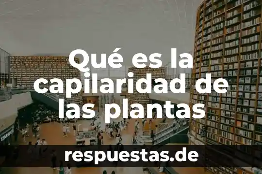 Qué es la capilaridad de las plantas