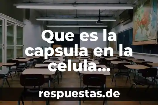 Que es un compartimiento de la celula 5 Que es la capsula en la celula procariota