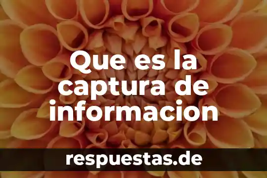 Que es la gerarquia de la informacion 5 Que es la captura de informacion
