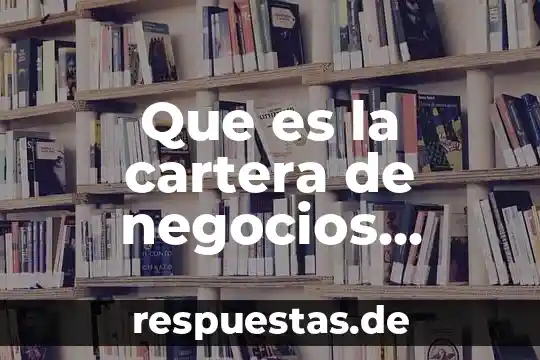 Que es contexto significado con autores 3 Que es la cartera de negocios segun autores