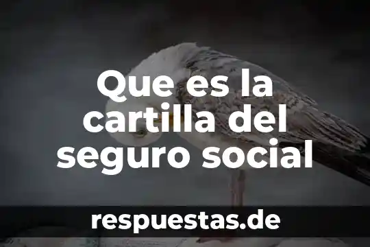 Que es un permiso de trabajo seguro 5 Que es la cartilla del seguro social