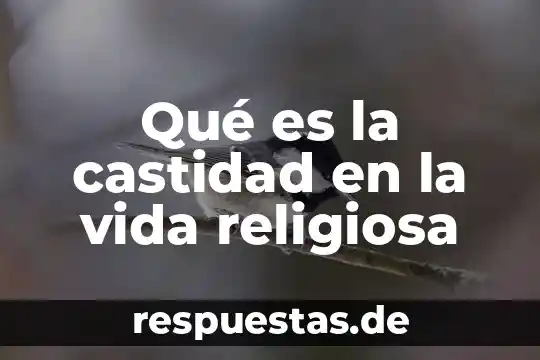 Vida virtual que es 4 Qué es la castidad en la vida religiosa