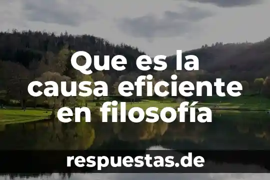 Que es feminicidioal es la causa del feminicidio 5 Que es la causa eficiente en filosofía