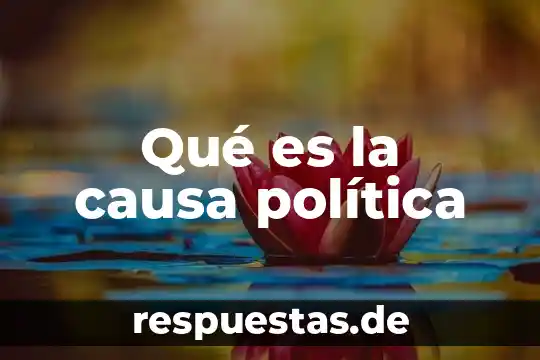 Que es un mandala en la educacion 8 Qué es la causa política