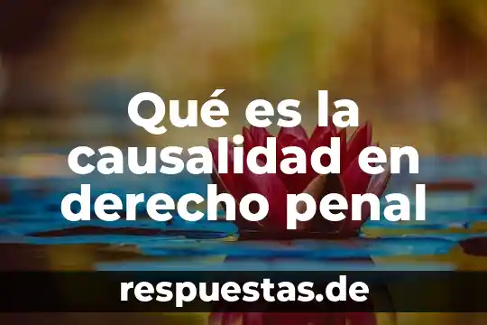 Qué es derecho procesal penal en México 5 Qué es la causalidad en derecho penal