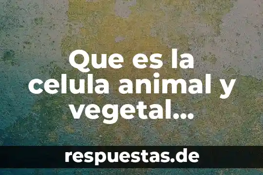 Que es la colina en nutricion animal y vegetal 6 Que es la celula animal y vegetal resumen