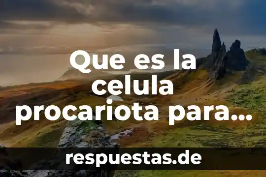 Qué es el nucleolo célula animal 8 Que es la celula procariota para ke sirve