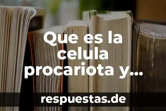 ¿Qué es la mitocondria de la célula animal? 8 Que es la celula procariota y para que sirve