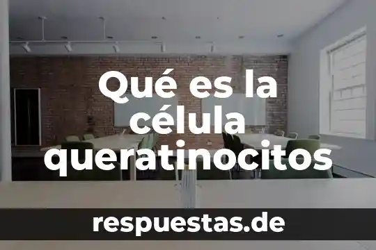 Que es una infografía celula animal vs vegetal 5 Qué es la célula queratinocitos