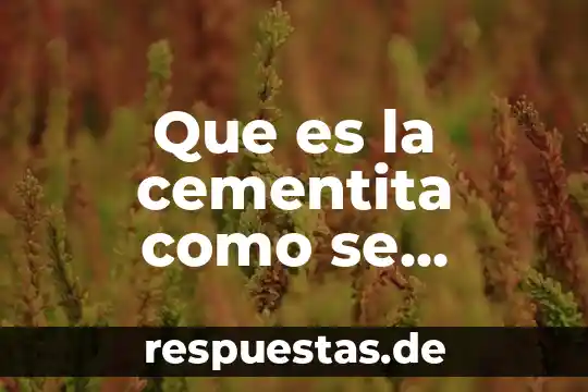 Que es una particularidad de la formula en excel 4 Que es la cementita como se conoce y formula