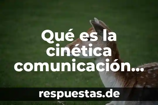 Qué es la cinética comunicación kinésica