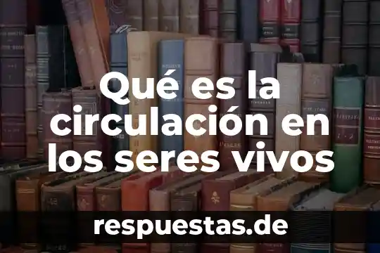 Que es la circulación administrativa 4 Qué es la circulación en los seres vivos