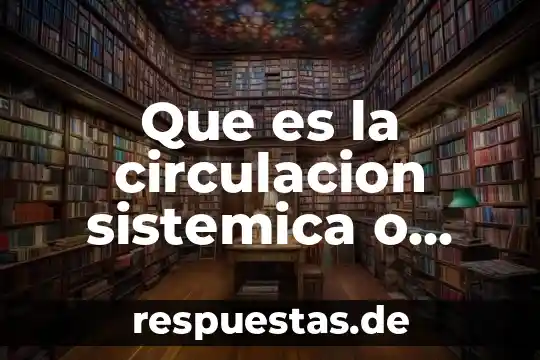 Que es la circulación administrativa 6 Que es la circulacion sistemica o mayor