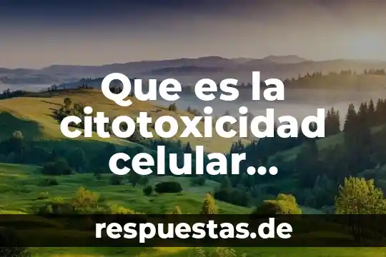 Que es el concepto de ayuwoki 6 Que es la citotoxicidad celular articulos