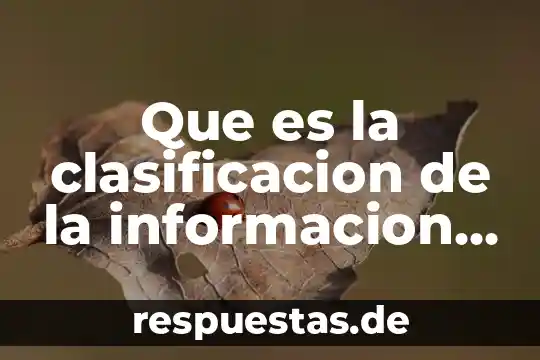 Que es un director de informacion 5 Que es la clasificacion de la informacion archivos