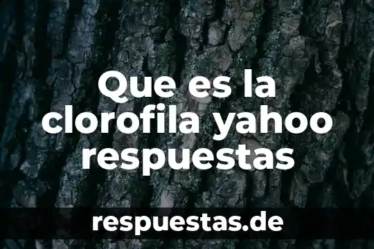 Que es ser extravagante yahoo 6 Que es la clorofila yahoo respuestas