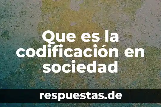 Que es una sociedad referente a conta 8 Que es la codificación en sociedad
