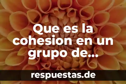 Que es la cohesion en un grupo de trabajo