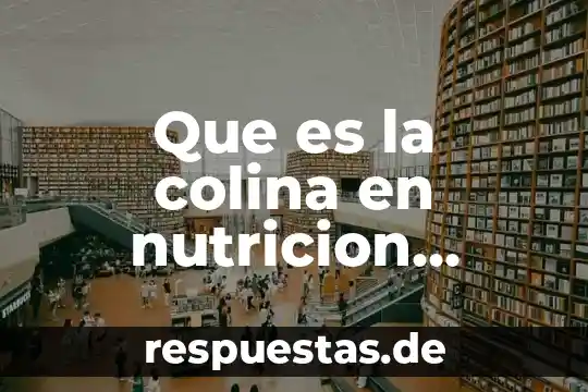 Qué es el aparato de Golgi en la célula vegetal 8 Que es la colina en nutricion animal y vegetal