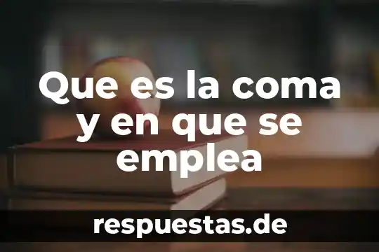 Qué es una declaración lógica 8 Que es la coma y en que se emplea