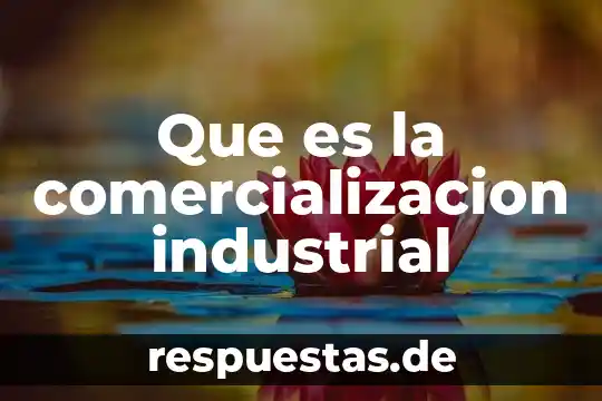 Que es una sociedad capital e industrial 7 Que es la comercializacion industrial