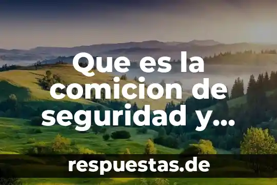 Que es la comicion de seguridad y higiene
