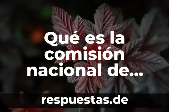 Qué es soberanía nacional Venezuela 8 Qué es la comisión nacional de sistema financiero